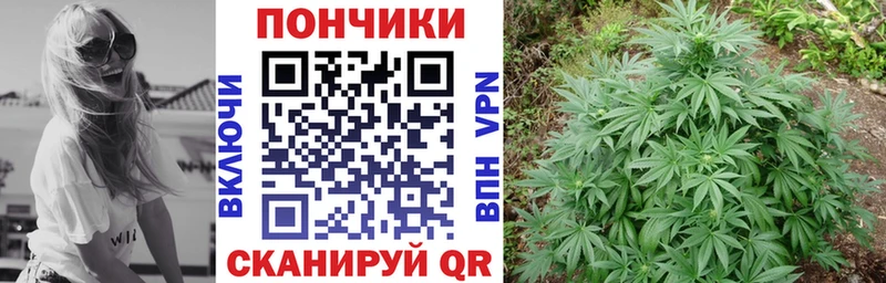 Продажа наркотиков Северодвинск Конопля А ПВП Гашиш Кокаин