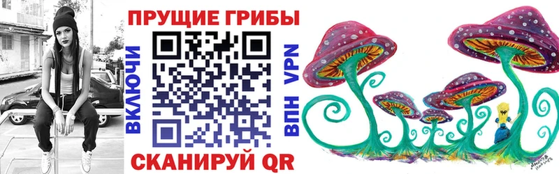 где купить наркоту  Северодвинск  Псилоцибиновые грибы Psilocybe 